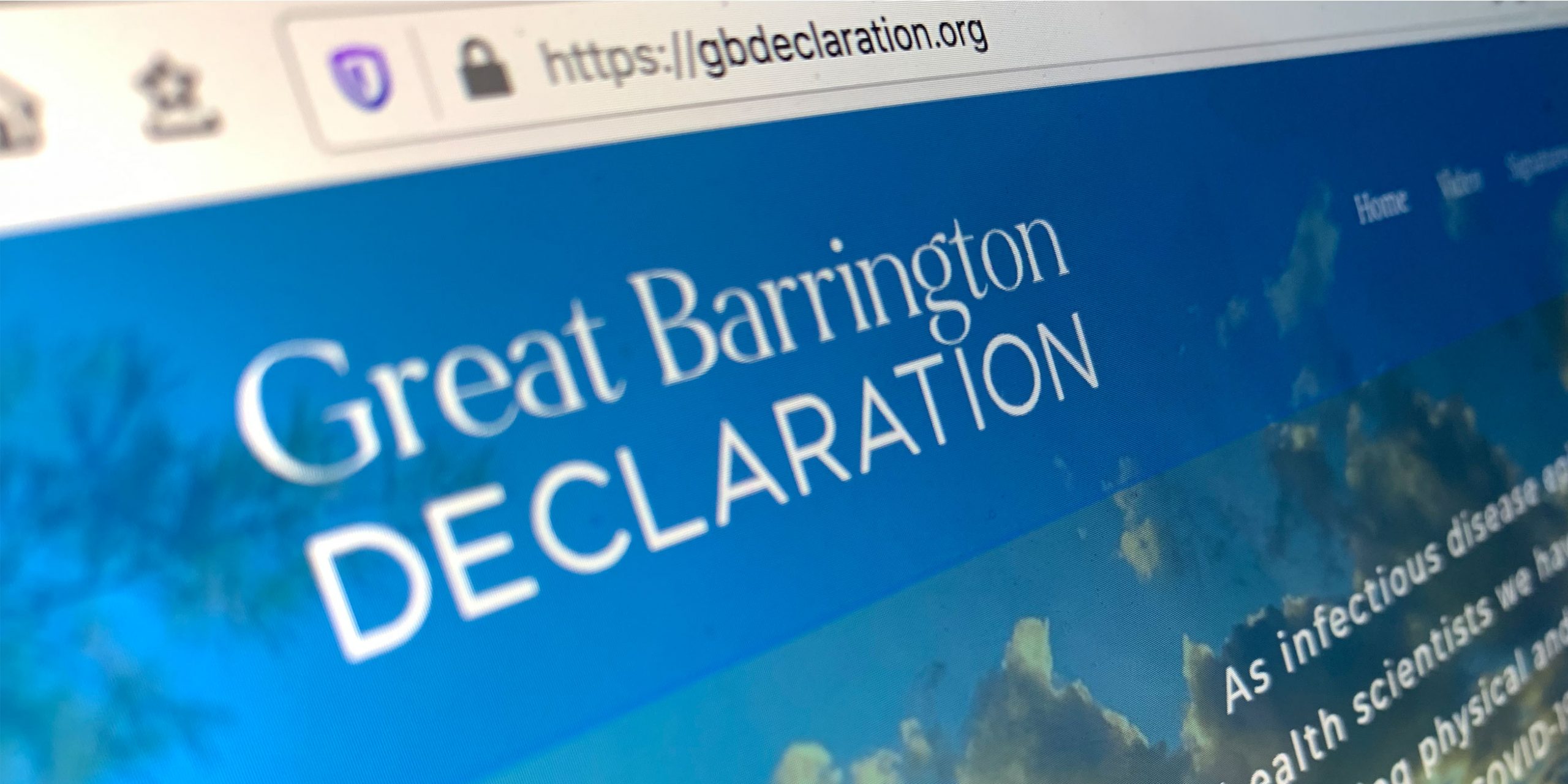 the great barrington declaration